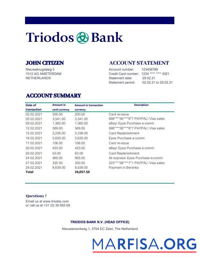 Realistic Netherlands Triodos bank statement excel download for verification